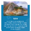 흙진주포도체험마을 | 충북 영동 '월류봉 둘레길' 완벽 가이드! 🌊🏞️ 물소리 가득한 명품 트레킹 코스[출처] 충북 영동 '월류봉...