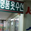 멋쟁이수선