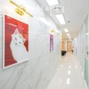 쪼꼬동물메디컬센터 | 인천 가정동 동물병원 쪼꼬동물메디컬센터 진료시간 접근성 이용후기