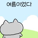 숙이네칼국수 이미지