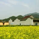 강남동로 이미지