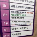 라인업짐 | 대전역 헬스장 추천! 머신 라인업 역대급인 파프리카짐 대전역점 내돈내산 후기