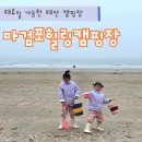 힐링 | 태안 마검포힐링캠핑장 해루질 후기 아이랑 조개 잡고 힐링 제대로