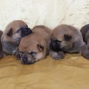 우리나라 이미지