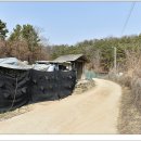 원남면 보룡리 보룡리석조여래좌상(遠南面 普龍里 普龍里石造如來坐像)