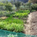 황룡공인중개사 이미지