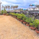 정낭 민박 이미지