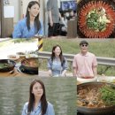금강백반 이미지