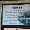 덕장진땡이 이미지