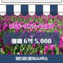 토지공인중개사사무소 이미지