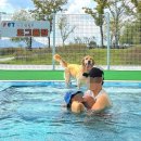 내 손으로 담그는 우리집 전통장 | [공지] 6월 반려견 행사 총정리 🐶