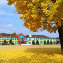 복흥초등학교 이미지