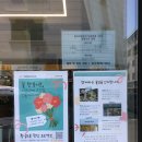 플레르블랑쉐 이미지