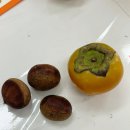 아트플러스미술교습소
