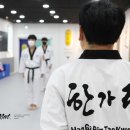 다올 태권도장 이미지