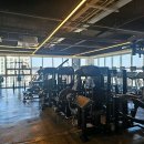 디젤 피트니스 이미지