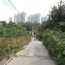 계수8통 Daum카페