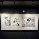 [서울/홍대] 진격의 거인展 FINAL | 진격의 거인 전시회 회차관람 리얼 후기