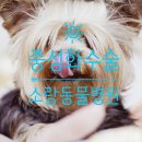 소랑동물병원 이미지