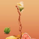 강남-249 이미지