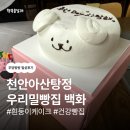 백화 | [아산탕정] '백화' 레터링 케이크 내돈내산 후기!