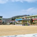 노은초교 병설유치원 티스토리