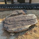 충의공 이유길 의마총 이미지