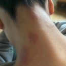 도도독A 이미지