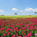 (주)좋은차정비 이미지