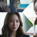 홍지희 카카오 검색결과