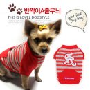 반짝이언냐 이미지