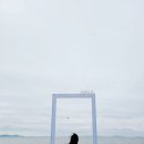 코브나인 이미지