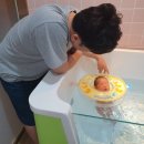 다복튜브