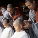 오늘의 포토뉴스 2008.04.04 금요일 이미지