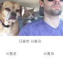 대일자동차 | 1종 자동 운전면허 취득의 기록