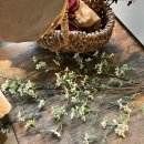 동화반찬공방 이미지