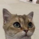 두물로 11 이미지