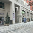 산업은행앞 횡단보도 우측 | 잠실탈모 잠실두피관리 모바이오 송파문정점 솔직후기