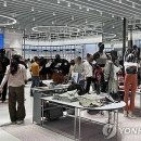 간추린 패션유통 늬우스 241111