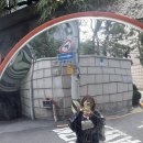 사평대로22길 27 | 즐거운 서래마을 나들이