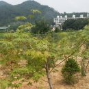 한길농원 이미지