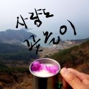 3/25일 목요일 섬&산 통영 사량도 지리망산 산행 이미지