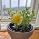 성공회대학교 사회적경제대학원 | [일상] 2025년 최종정리 (롯데호텔|디올|알렉스키토사진전|페스티벌|대학원|맛집투어)