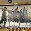 정코다리성주점