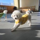 미스터토리 이미지