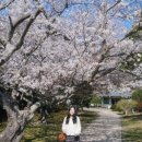 구석기유물기념비 | 일본 대마도 1박 2일 렌트카 벚꽃여행(히타카츠~이즈하라)