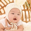 아이라임스튜디오 이미지