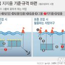 자망 이미지