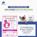 24시 코끼리동물병원 이미지