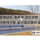 신도안면 다목적구장 네이버블로그